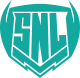 Изображение SURGE Nations League Season 2