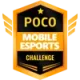 Изображение POCO Mobile Esports Challenge