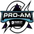 Изображение NSG X DarkZero Pro-Am