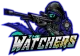 Изображение Overwatch Watcher's Brawl I