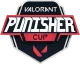 Изображение Valorant Punisher Cup