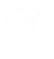Изображение SURGE Valkyrie Clash Season 2