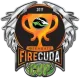 Изображение CyberGamer Firecuda Cup