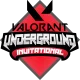 Изображение Underground Valorant Invitational