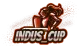 Изображение InDuS Cup