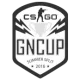 Изображение GNcup Summer Split 2016