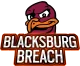Изображение Blacksburg Breach