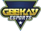 Изображение Geekay Esports Scouting Tournament 2021