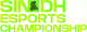Изображение Sindh Esports Championship 2025