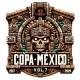 Изображение Copa México 2024