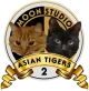 Изображение Moon Studio Asian Tigers 2