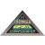 Изображение Triangle Esports Championship 2019