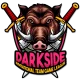 Изображение DarkSidE Invitational Team Game League