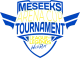 Изображение Meseeks Arena Cup