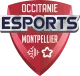 Изображение Occitanie Esports 2022