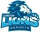 Изображение Lambton College Overwatch Tourney