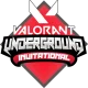 Изображение Underground Valorant Invitational