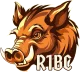 Изображение R1 BarruCup: Showmatch