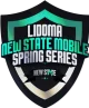 Изображение Lidoma New State Mobile Spring Series #1
