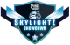 Изображение PUBG Mobile Skylightz Showdown 2020