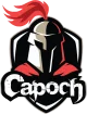 Изображение Capoch vs slam