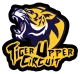 Изображение Tiger Upper Circuit Finals 2019