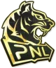 Изображение Perfect World National League Fall 2022
