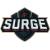 Изображение SURGE 2017