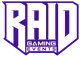 Изображение RAID.gg Skirmish #1