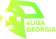 Изображение eLiga Georgia 2026