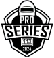 Изображение Battlegrounds Mobile India Pro Series 2024