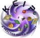 Изображение KCIP