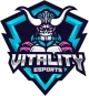 Изображение Vitality Esports Invitational