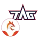 Изображение Fox vs Taiwan Aoe Gamer 2