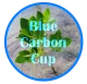 Изображение Blue Carbon Cup 2