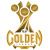 Изображение Golden League Opening 2019