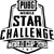 Изображение PUBG Mobile Star Challenge World Cup 2019