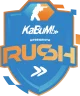 Изображение FERJEE Rush 2025