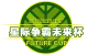 Изображение Future Cup 6 (U18)