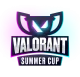 Изображение CONTEST VALORANT SUMMER CUP 2024
