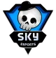 Изображение Skyesports Championship 2024